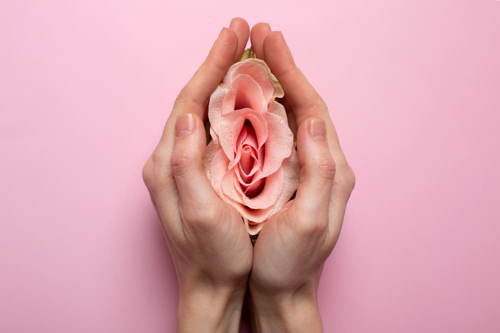 manos sosteniendo flor rosa sobre fondo rosado simbolismo femenino